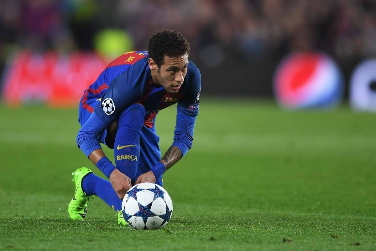 猛龙的角色 猛龙的角色